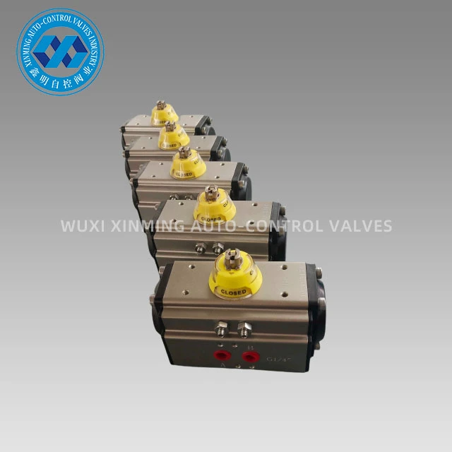 Angle Travel Pneumatic Actuator
