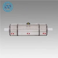 Nehrđajući čelik 316 Trostupanjski pneumatski aktuator